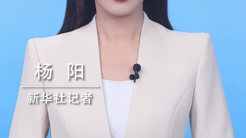 数据治理，生命线上的守护者：生命周期管理软件揭秘